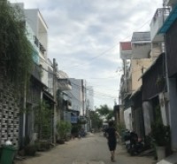 Bán Nhà Trường Lưu, Khu phân lô, hẻm tải, 55m2 giá 3.55 tỷ
