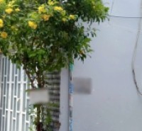 Nhà căn góc hẻm oto Tám Danh P4Q8, Giá : 7.2 Tỷ (Thương lượng)