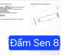 BÁN ĐẤT ĐƯỜNG ĐẦM SEN 8 – GẦN NGUYỄN PHƯỚC LAN