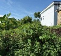 61.6M² TRUNG TÂM BÀNG LA – Ô TÔ ĐỖ CỬA – GIÁ CHỈ HƠN 8XX TRIỆU – CỬA VỐN HIẾM  ZALO 0567 222 555