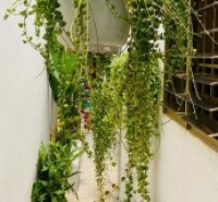 Bán nhà mới 52m² Hoà Hưng – Không gian sáng thoáng, thiết kế hiện đại, giá 6.35 tỷ