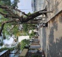 NHỈNH 20 TỈ - NHÀ HOÀNG CẦU SẴN 6 TẦNG - NGÕ THÔNG Ô TÔ