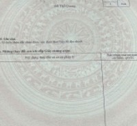 Lô mặt đường nhựa 8m – Cốc Liễn Minh Tân – giá 1,5xx tỷ – lô hiếm!  ZALO 0567 222 555