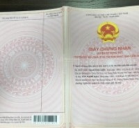 Tiết kiệm thời gian đăng tin hàng ngày dành cho môi giới BĐS với các tính năng như tạo tài khoản, đăng tin, và đẩy tin