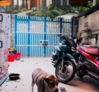 Nhà Quận 8 giáp Quận 1 ngang 5x25 DT 123m2 Nguyễn Thị Tần 11 tỷ 5- 0931172218