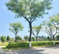 NHÀ ĐẸP 3 TẦNG NGAY CÔNG VIÊN THANH NIÊN,  ĐƯỜNG HOÀNG DƯ KHƯƠNG, KHUÊ TRUNG, CẨM LỆ, ĐÀ NẴNG