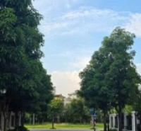 BÁN BT VINHOMES SMART CITY ĐẠI MỖ - NAM TỪ LIÊM - 284Mx4T, MT 16M- ĐẲNG CẤP THƯỢNG LƯU