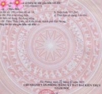 Mặt đường 362 Minh Tân  113,2m² trục lớn 30m – hàng hiếm kinh doanh  ZALO 0567 222 555