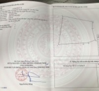 Phần mềm đăng tin bất động sản của AllProject có thể giúp bạn tối ưu hóa chiến lược marketing theo nhiều cách