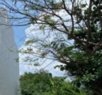 BÁN ĐẤT NỀN THỔ CƯ - HẺM XE TĂNG- HỒ HỌC LÃM - KHU VỰC XÂY CAO TẦNG - 114M2 - 5 TỶ