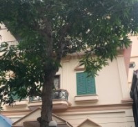 Biệt thự sân vườn Nguyễn Văn Cừ-Ngọc Lâm, 305m x 4 tầng, mặt tiền 12m, ôtô tránh, sân vườn để được 5 ôtô, full thổ cư