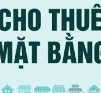 Có phòng khép kín cho thuê và kD , làm văn phòng tại TP. Vinh