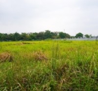 Bán 3500m2 đất cụm công nghiệp Ninh Hiệp, Gia Lâm, Hà Nội. Lô 2 mặt tiền