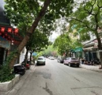 Bán nhà phân lô lạc trung 4 tầng dân xây via hè ô tô tránh hai bà trưng
