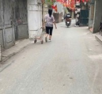 Bán đất vĩnh hưng 56M 2 mặt ngõ ô tô tránh vào đất kinh doanh hoàng mai