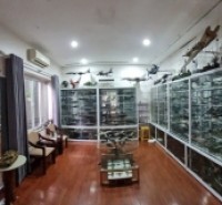 Tây Nam Linh Đàm, chính chủ cho thuê làm văn phòng