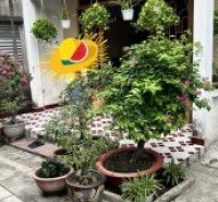 Nhà hẻm 276/91/11 Thống Nhất, Phường 16, Gò Vấp, Hẻm 3m, 10x22m, Cn 218,9 m2, Cấp 4, 16,5 tỷ TL