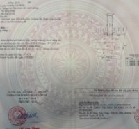 Đất hẻm 215 Phan Huy Ích, Phường 14, Gò Vấp, Hẻm 7m thông, 4x16,25m, Cn 65 m2, 7,96 tỷ TL, 2 lô