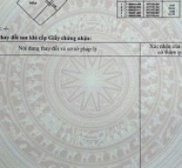 Bán Chdv hẻm 448/65/6 Phan Huy Ích, Phường 12, Gò Vấp, Hẻm 4m, 5x15,5m, Cn 77 m2, trệt lửng 3 lầu, ST, 16P Full nội thất, HT Pccc, Thang máy, 16,9 tỷ TL