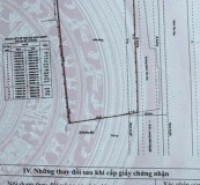 Đất 2 MT Nguyễn Trọng Quyền, Phường Tân Thới Hòa, Tân Phú, MT 15m, Cn 3203 m2, 230 tỷ TL