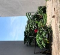 Trung tâm Trâu Quỳ, Gia Lâm 60m2 ô tô tránh chỉ 8 tỷ hơn đầu tư cực tốt. Lh 0989894845