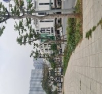 Nhà 5 tầng kinh doanh Long Biên, Hà Nội. 88m2, mt 7m. Lh 0392248515