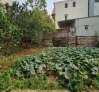 Chỉ 35 tr.m2 cho đất Gia Lâm, Hà Nội đường ô tô 7 chỗ thông. Lh 0392248515