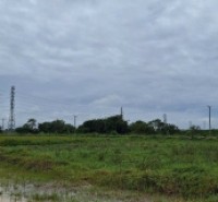 Bán 6ha đất nhà xưởng vị trí đường trục chính tx Mỹ Hào, Hưng Yên