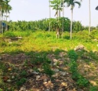 Chủ kẹt tiền cần bán lô đất tại MT đường DX 017 có 1000 m² đất ở., Cẩm Thanh giá 18 tỷ