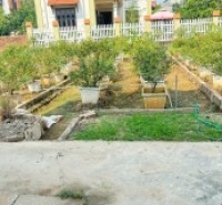 Bán đất Thôn Trung Hậu Đoài, Tiền Phong, Mê Linh - Sổ đỏ chính chủ, vị trí đắc địa