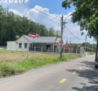 SỞ HỮU ĐẤT THỔ CƯ BÌNH DƯƠNG, SAU KCN, DÂN ĐÔNG CHỈ VỚI 200TR-CÔNG CHỨNG NGAY.
