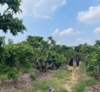 . ĐẤT NỀN CHŨ BẮC NINH GIÁ 450 TRIỆU  420M2  TIỆN ÍCH SẴN  Nguyễn Hùng BĐS - 0989333012