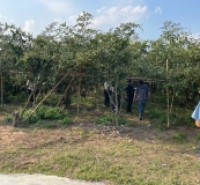 ĐẤT NỀN CHŨ BẮC NINH GIÁ 480 TRIỆU  400M2  TIỆN ÍCH ĐẦY ĐỦ  Nguyễn Hùng BĐS - 0989333012