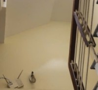 ♣ Kiệt Ô tô 5m Điện Biên Phủ, 50m2, 3 tầng đúc, kinh doanh tốt, giá đầu tư 4.xx tỷ