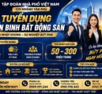 TẬP ĐOÀN NHÀ PHỐ VIỆT NAM – CN TÂN PHÚ TUYỂN DỤNG NHÂN SỰ BẤT ĐỘNG SẢN