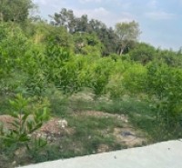 Bán 835m2 đất thổ cư Tân Hả - Hàm Tân giá ngộp 650 triệu sổ riêng