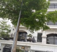 Cho thuê nhà KĐT VOV. DT 92m x 5T, đã hoàn thiện. Giá 36tr/tháng.LH : 0964769634