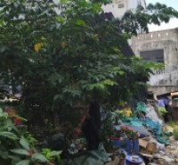 ♣ Đất MT Mỹ An 5, gần Trần Thị Lý, Chương Dương, Sông Hàn, 95.5m2,ngang 5m, giá tốt