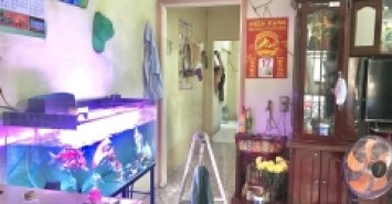 Bán nhà ngõ Linh Trung, Thủ Đức, 60m², 3.8 tỷ, sổ hồng