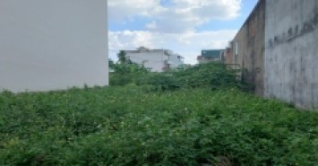 Bán đất an phú đông 9 P.AP.Đông Q.12, ngan 8m, Đường 3m, giá chỉ 8.88 tỷ