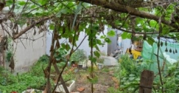 Bán đất An Phú Đông 9 P.An phú đông Quận 12, H. ÔTÔ, giá giảm còn 3.x tỷ