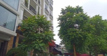 ???? Siêu đầu tư, Đất vàng Trần Quang Diệu, Đống Đa 685m2 MT 30m. Chỉ 95 Tỷ (SĐCC) ????