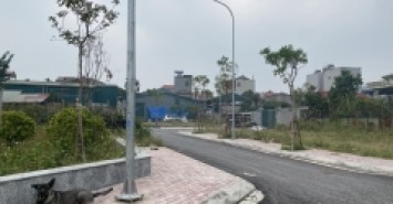 Bán đất đấu giá Ngũ Hiệp, Thanh Trì ô tô vào tận đất giá đầu tư giá 3.x tỷ