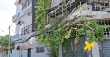Gấp bán giảm 1 tỷ! Nguyễn Sơn, Tân Phú – HXH, 56m2, 4 tầng, chỉ 6.2 tỷ