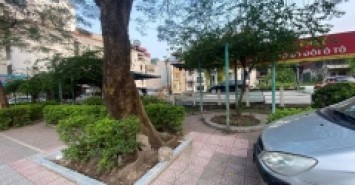 BÁN ĐÂT 1000M NGUYỄN VĂN CỪ - LONG BIÊN 125 TỶ