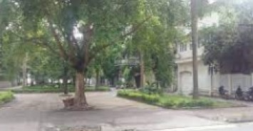 Chính chủ bán 176m2 đất đấu giá Vườn Đào, Quận Tây Hồ, mặt tiền 11m giá 55,6 tỷ