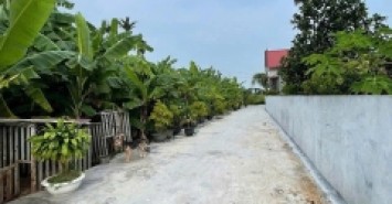 SIÊU PHẨM ĐẤT LÃO PHÚ – TÂN PHONG, KIẾN THỤY – GIÁ CHỈ 7XX TRIỆU – ĐẸP KHÔNG TÌ VẾT – ZALO 0567 222 555