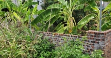 Đất Vân trì, Vân Nội diện tích nhỏ ngõ nông giá vừa tiền