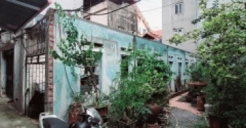 Bán 50M đất hưng phúc cách phố 30M hoàng mai