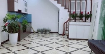 Bán nhà Trần Khát Chân - Lạc Nghiệp - ô tô - 30 m2 - 5T - 4 tỷ 2 - trung tâm Hai Bà Trưng